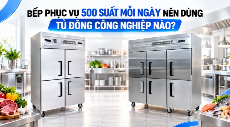 Bếp Phục Vụ 500 Suất Mỗi Ngày Nên Dùng Tủ Đông Công Nghiệp Nào?