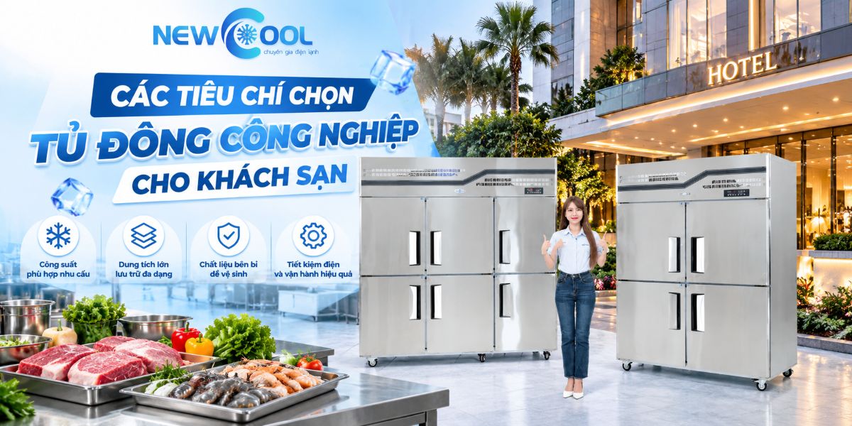 Các tiêu chí chọn tủ đông công nghiệp cho khách sạn
