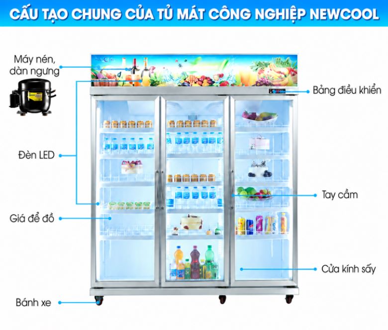 Cấu tạo chung tủ mát công nghiệp NEWCOOL