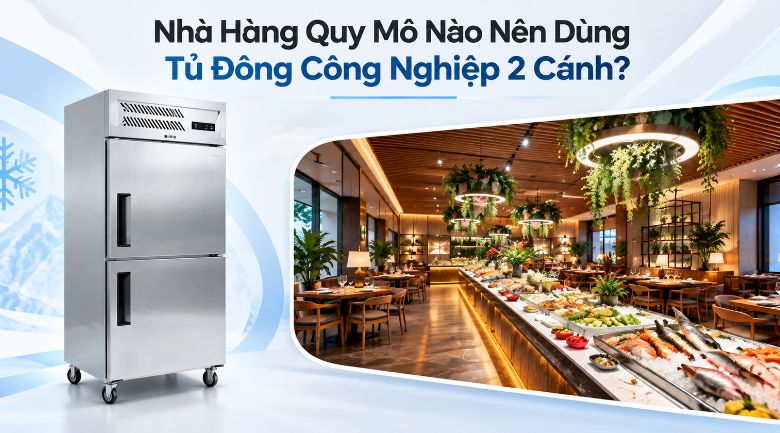 Nhà Hàng Quy Mô Nào Nên Dùng Tủ Đông Công Nghiệp 2 Cánh?